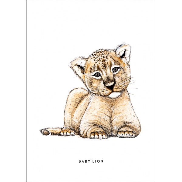 Ansichtkaart Baby leeuw - 10 stuks